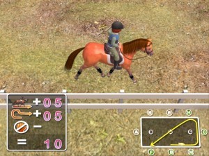 Trénink( Amanda na svém koni )